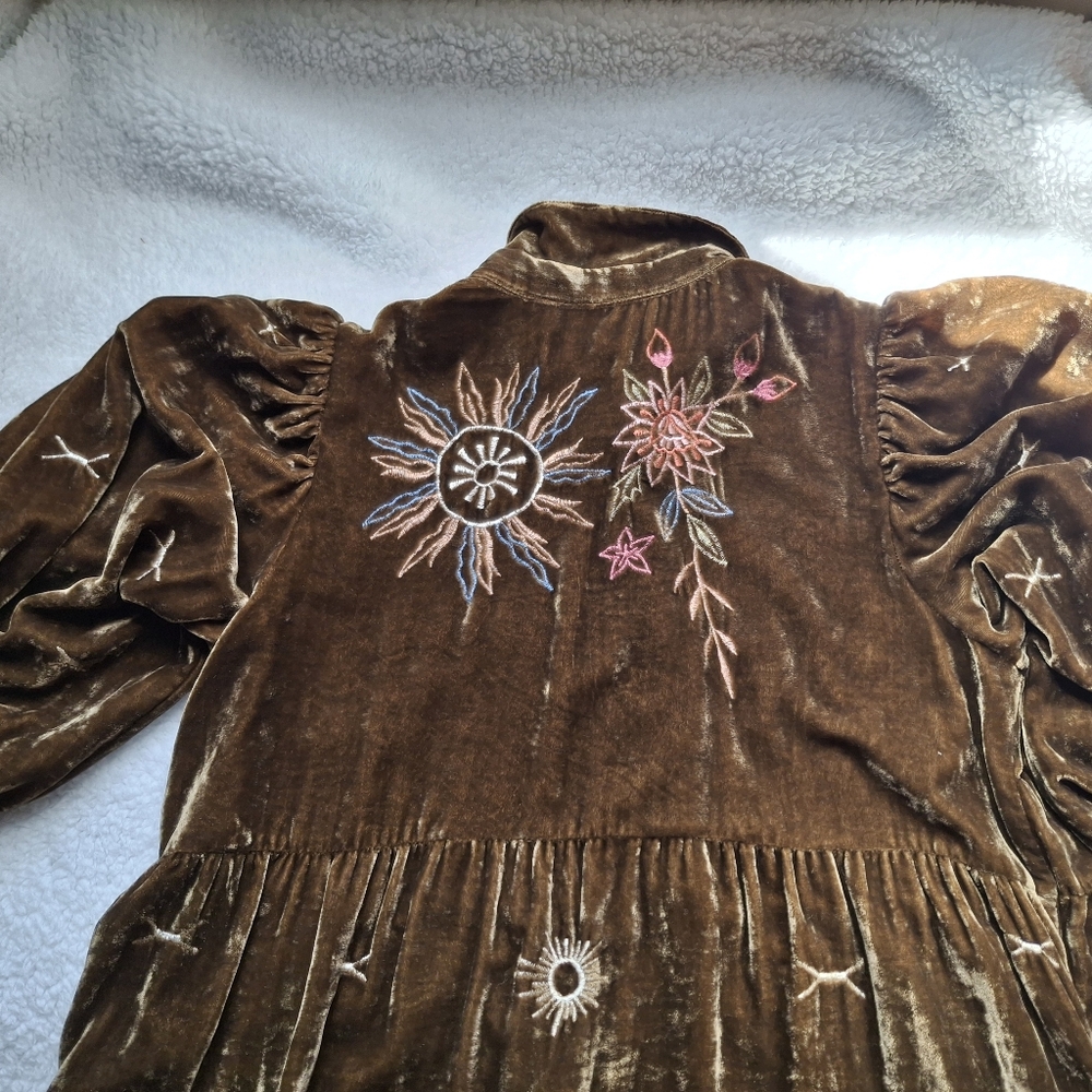 Wayward Fancies Collared Floral Embroidered Velvet Dress- Size In Description - Picture 12 of 16